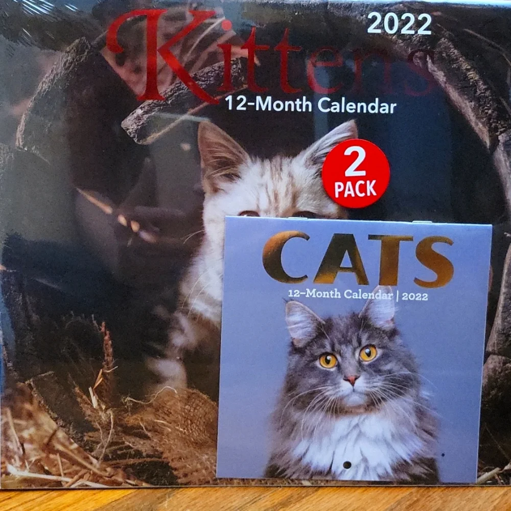 2022 Kittens 12-month Calendar